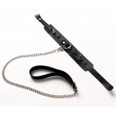 Черный ошейник с шипами и поводком - Crazy Handmade - купить с доставкой в Санкт-Петербурге