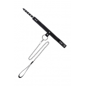 Черный узкий однослойный ошейник с серебристым поводком-цепочкой - Pecado - купить с доставкой в Санкт-Петербурге