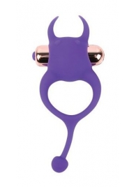 Фиолетовое эрекционное виброкольцо с рожками и хвостиком - Bior toys - в Санкт-Петербурге купить с доставкой