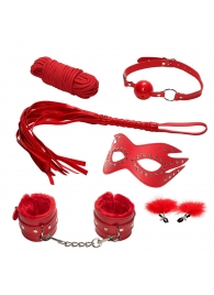Эротический набор БДСМ из 6 предметов в красном цвете - Rubber Tech Ltd - купить с доставкой в Санкт-Петербурге