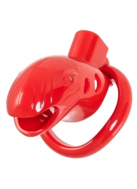 Красный мужской пояс верности из пластика - ToyFa - купить с доставкой в Санкт-Петербурге