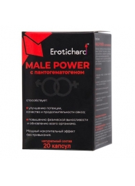 Капсулы для мужчин Erotichard male power с пантогематогеном - 20 капсул (0,370 гр.) - Erotic Hard - купить с доставкой в Санкт-Петербурге
