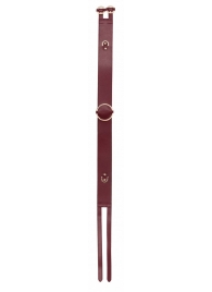 Бордовый ремень Halo Waist Belt - размер L-XL - Shots Media BV - купить с доставкой в Санкт-Петербурге
