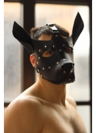 Эффектная маска собаки с металлическими заклепками - БДСМ Арсенал - купить с доставкой в Санкт-Петербурге
