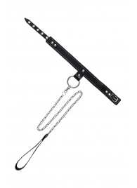 Черный узкий однослойный ошейник с серебристым поводком-цепочкой - Pecado - купить с доставкой в Санкт-Петербурге