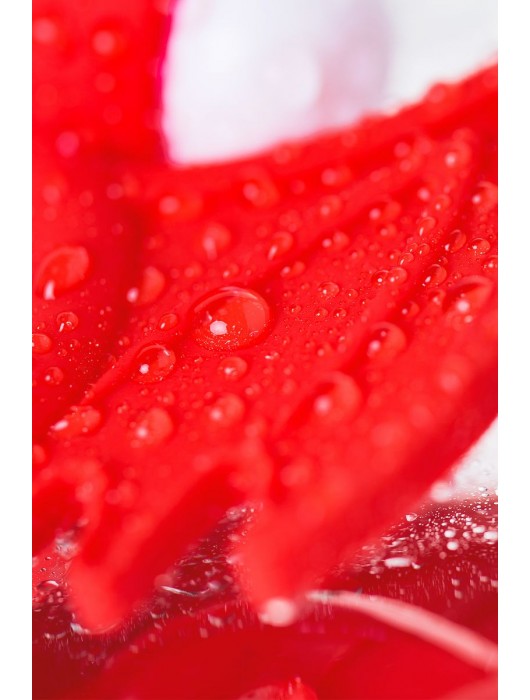 Красное эрекционное кольцо на пенис JOS COCKY DEVIL - JOS - в Санкт-Петербурге купить с доставкой