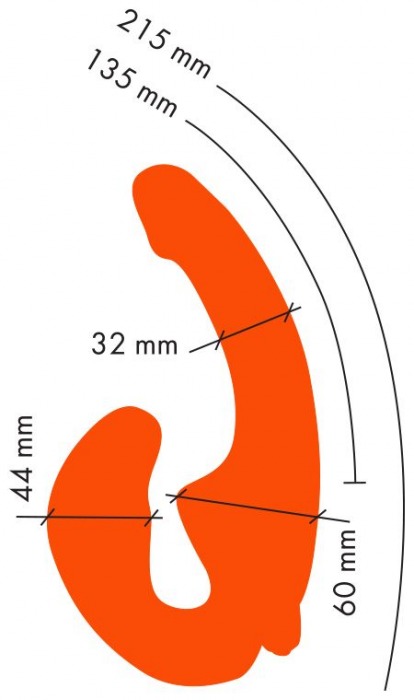 Оранжевый анатомический страпон с вибрацией - Главсексмаг - купить с доставкой в Санкт-Петербурге