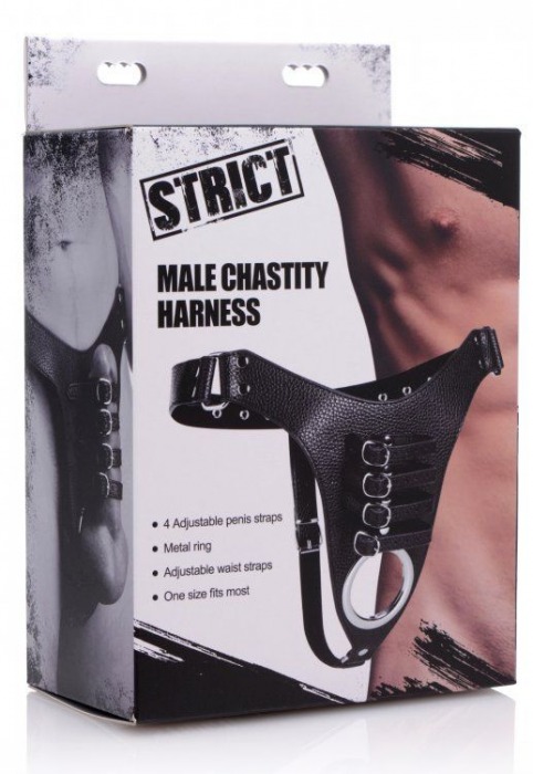 Мужской пояс верности с ремешками Male Chastity Harness - XR Brands - купить с доставкой в Санкт-Петербурге