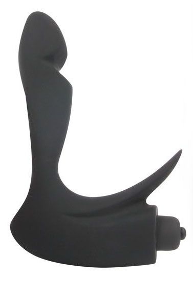 Черный силиконовый массажер простаты Sex Expert с отростком - Bior toys - в Санкт-Петербурге купить с доставкой