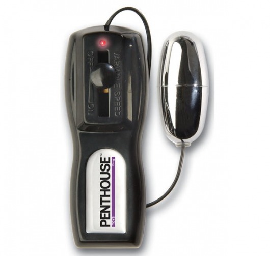 Вагина с вибрацией Taylor Vixen Vibrating CyberSkin Pet Pussy - Topco Sales - в Санкт-Петербурге купить с доставкой