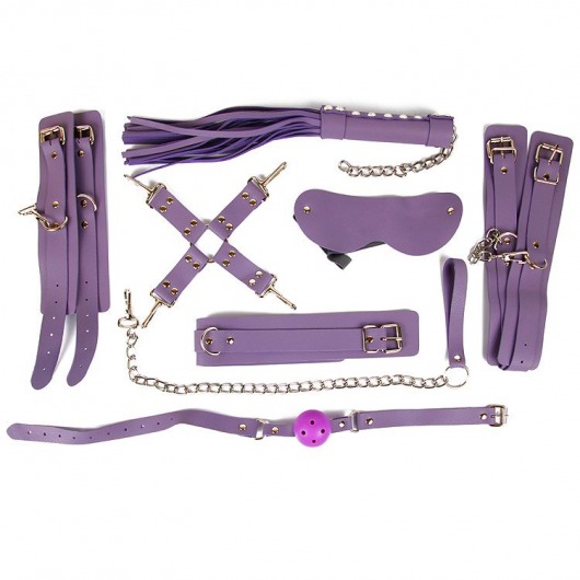 Пикантный набор БДСМ-аксессуаров фиолетового цвета - Bior toys - купить с доставкой в Санкт-Петербурге