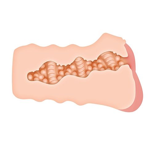 Телесный мастурбатор-вагина RILEY REID REALISTIC VAGINA STROKER - Zero Tolerance - в Санкт-Петербурге купить с доставкой