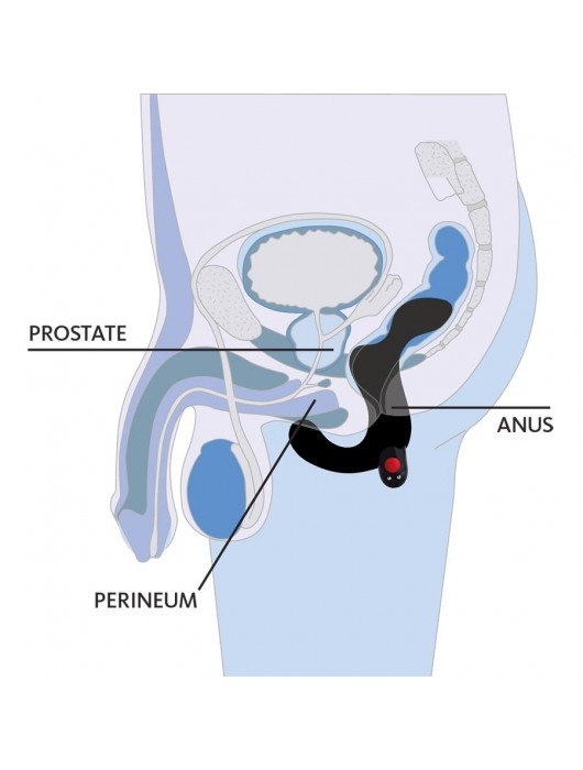 Черный массажёр простаты Duke - Fun Factory - в Санкт-Петербурге купить с доставкой