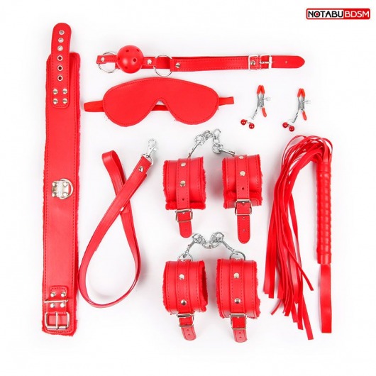 Большой набор БДСМ в красном цвете: маска, кляп, зажимы, плётка, ошейник, наручники, оковы - Bior toys - купить с доставкой в Санкт-Петербурге
