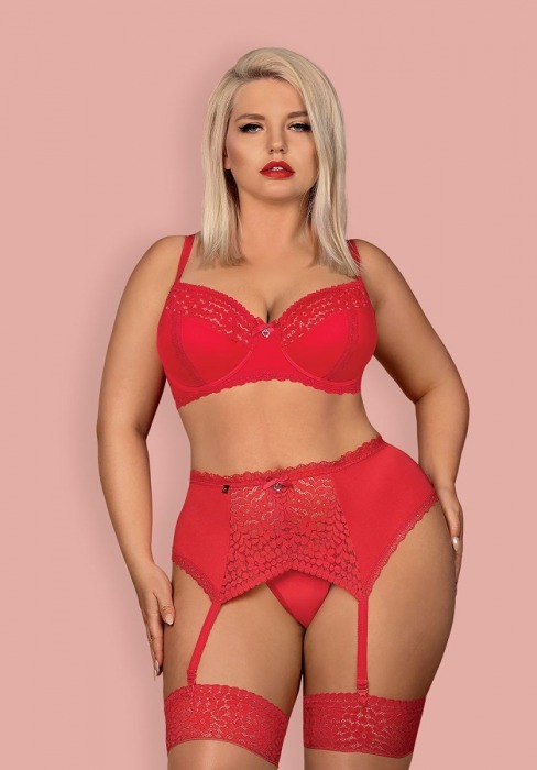 Пикантный кружевной комплект белья Jolierose - Obsessive купить с доставкой