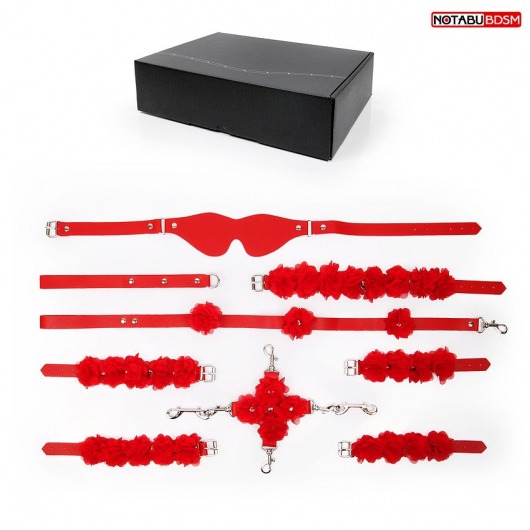 Стильный красный набор БДСМ в сумке - Bior toys - купить с доставкой в Санкт-Петербурге