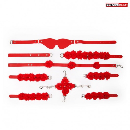 Стильный красный набор БДСМ в сумке - Bior toys - купить с доставкой в Санкт-Петербурге