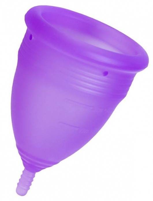 Фиолетовая менструальная чаша Lila L - Eromantica - купить с доставкой в Санкт-Петербурге