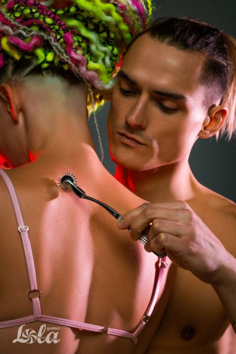 Колесо Вартенберга Please Me - 18,5 см. - Lola Games - купить с доставкой в Санкт-Петербурге