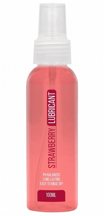 Лубрикант на водной основе с ароматом клубники Strawberry Lubricant - 100 мл. - Shots Media BV - купить с доставкой в Санкт-Петербурге