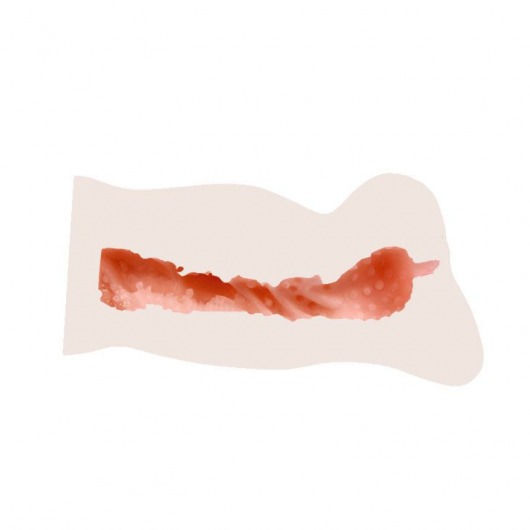 Вибрирующий мастурбатор со входом в виде вагины - 14 см. - Baile - в Санкт-Петербурге купить с доставкой