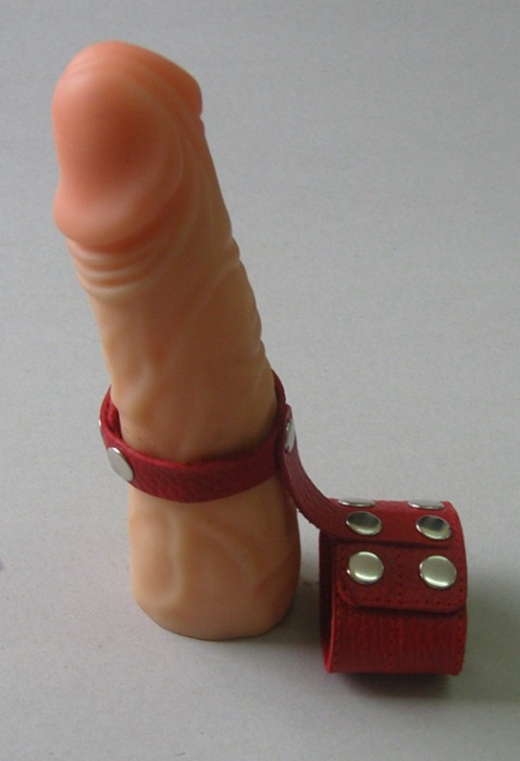 Красный кожаный поводок на пенис с кнопками - Sitabella - купить с доставкой в Санкт-Петербурге