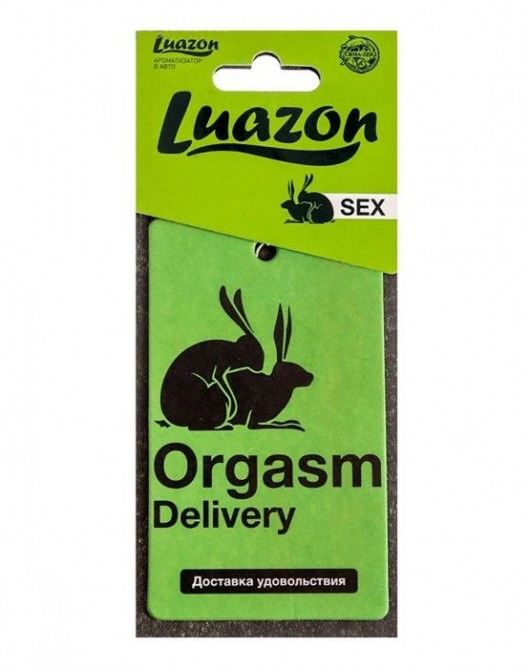 Ароматизатор в авто «Orgasm» с ароматом мужского парфюма - Luazon - купить с доставкой в Санкт-Петербурге
