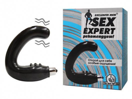 Чёрный массажёр простаты серии Sex Expert - Bior toys - в Санкт-Петербурге купить с доставкой