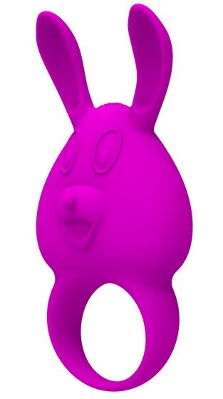 Фиолетовое перезаряжаемое эрекционное кольцо с вибрацией - Baile - в Санкт-Петербурге купить с доставкой