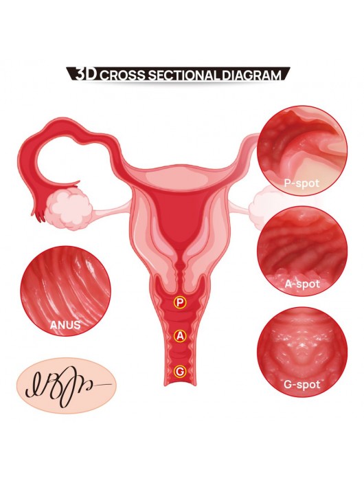 Мастурбатор-полуторс с двойным слоем материала Vanilla Onahole Real Vagina - KOKOS - в Санкт-Петербурге купить с доставкой