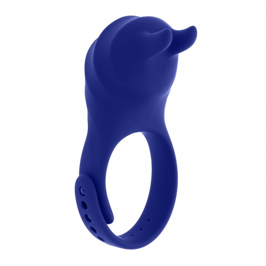Синее эрекционное виброкольцо с клиторальной подушечкой и пультом ДУ Adjustable Fun Ring - Zero Tolerance - в Санкт-Петербурге купить с доставкой