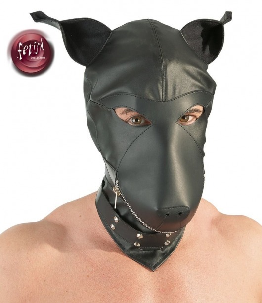 Шлем-маска Dog Mask в виде морды собаки - Orion - купить с доставкой в Санкт-Петербурге