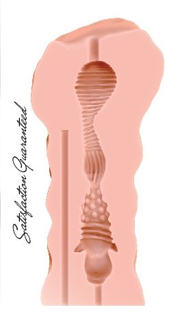 Мастурбатор Satisfaction Honey Pot - Lola Games - в Санкт-Петербурге купить с доставкой