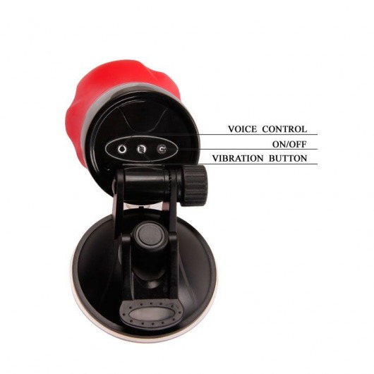 Мастурбатор-ротик с вибрацией, функцией голоса и в колбе с присоской - Baile - в Санкт-Петербурге купить с доставкой