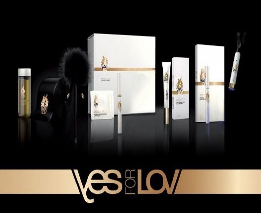 Эротический набор для шпионских игр Mission Irresistible Box - YESforLOV - купить с доставкой в Санкт-Петербурге