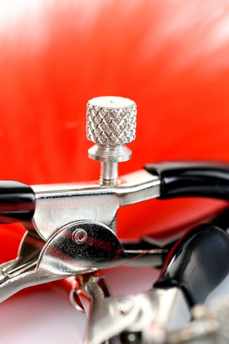 Зажимы для сосков с красным пухом Theatre - ToyFa - купить с доставкой в Санкт-Петербурге