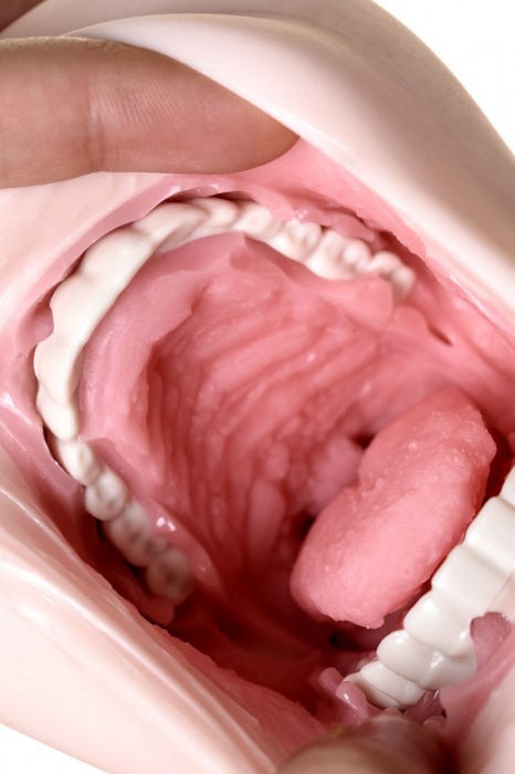 Ультра реалистичный мастурбатор-ротик Sugofella - Enjoy toys - в Санкт-Петербурге купить с доставкой