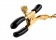 Чёрные с золотом зажимы на соски Gold Chain Nipple Clamps - Pipedream - купить с доставкой в Санкт-Петербурге Чёрные с золотом зажимы на соски Gold Chain Nipple Clamps - Pipedream - купить с доставкой в Санкт-Петербурге