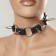 Чёрный кожаный ошейник с длинными шипами - Sitabella - купить с доставкой в Санкт-Петербурге